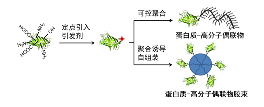 1613550d58644ac4b41431520519fd11.png 1730867151(1).png
