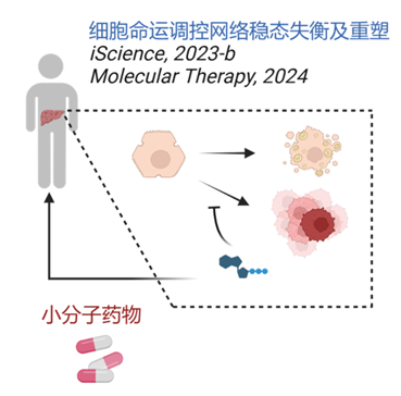 6ec1a541359542d0ad1e24a906224d93.png 图片.png