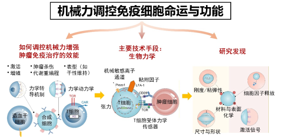 5c778d1278a64c99806053c39f60f9a6.png 图片.png