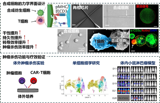8f32d3a44d40437da9f06a5d8ca655c9.png 图片.png